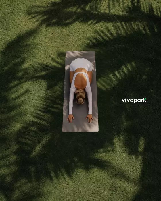 Publicação 1 do Vivapark no Instagram